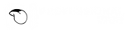 Professional Idiots